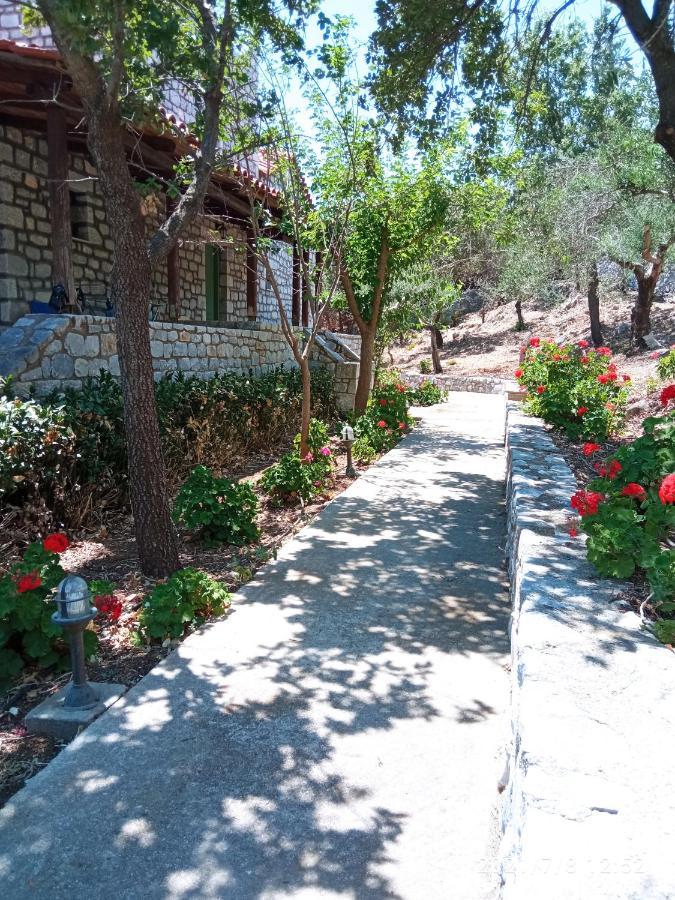Villas Guest House 바티 외부 사진